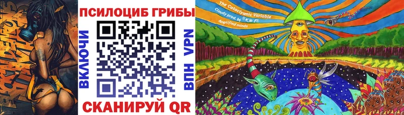 цена   Обь  Псилоцибиновые грибы GOLDEN TEACHER 